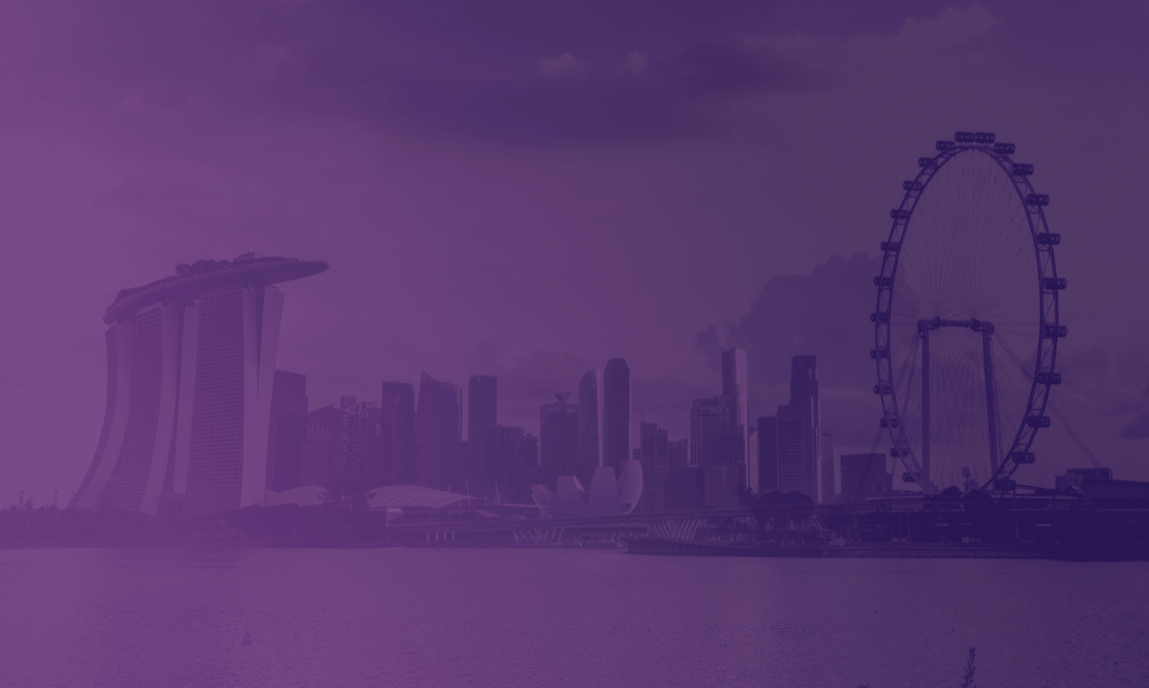 Velarys board and executive advisory — leadership at sea